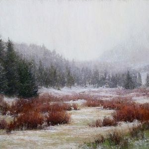 Meet your Posher, Setareh